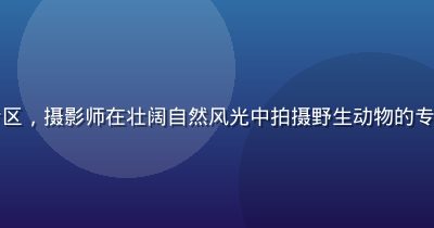 豆花视频官网纪录片专区，摄影师在壮阔自然风光中拍摄野生动物的专业画面，光线自然真实